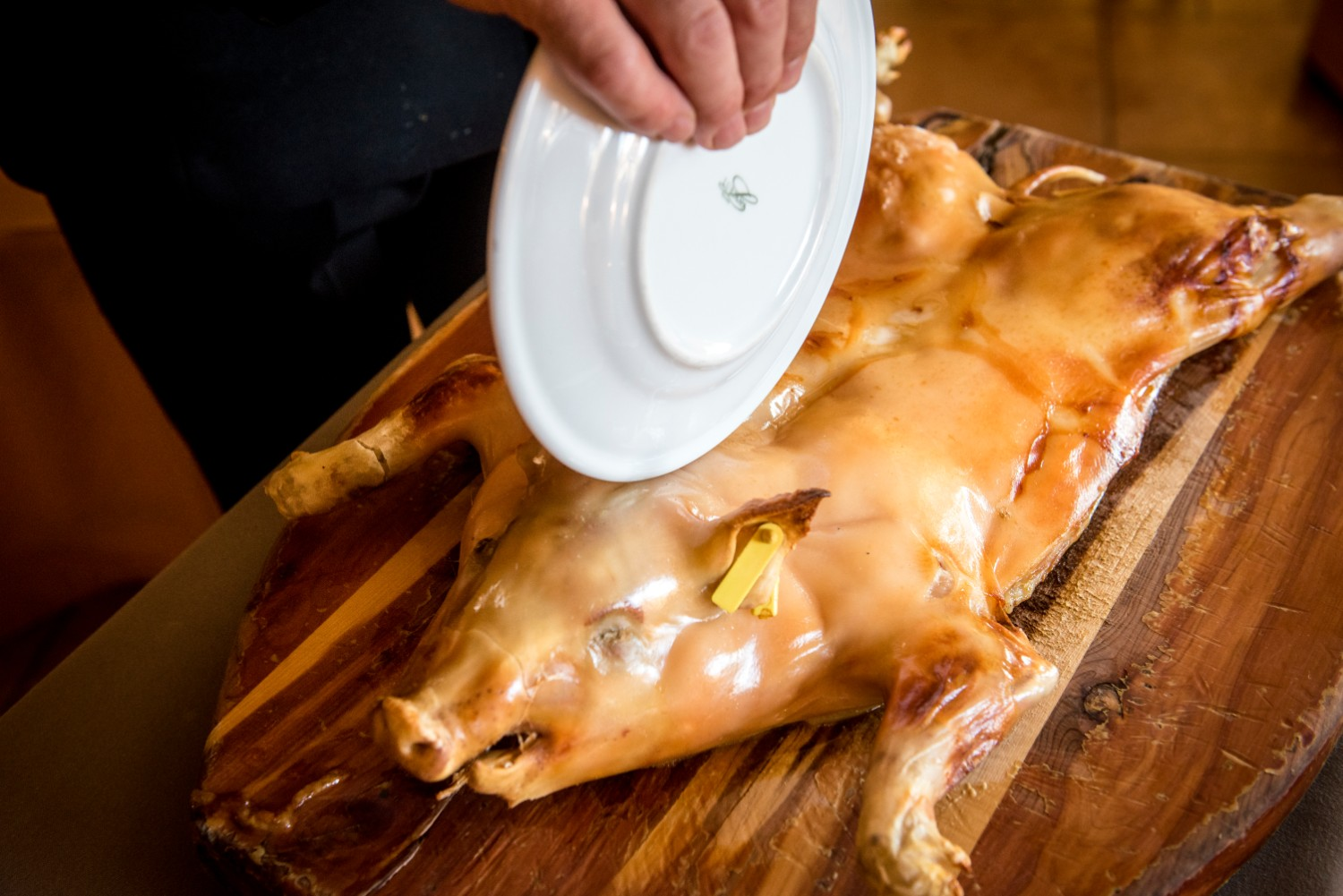 cochinillo spanish cuisine