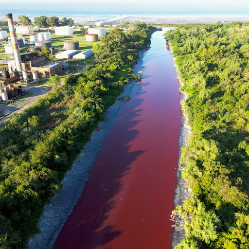 Blood-Red Waters in Buenos Aires: A Toxic Warning?